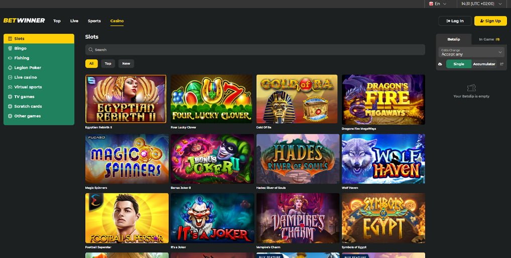 Experience Excitement and Wins with BetWinner Experience Excitement and Wins with BetWinner